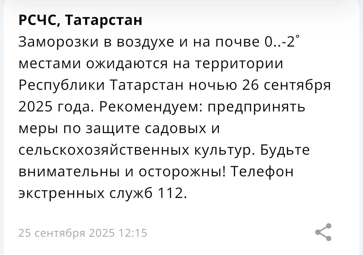 Заморозки обещают в Татарстане ночью 26 сентября