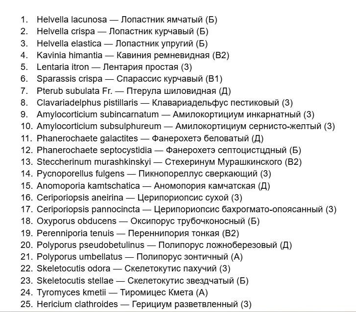 Какие грибы нельзя собирать в Нижегородской области
