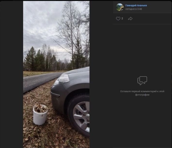 Скриншоты лесных "трофеев", собранных у Дачного поселка