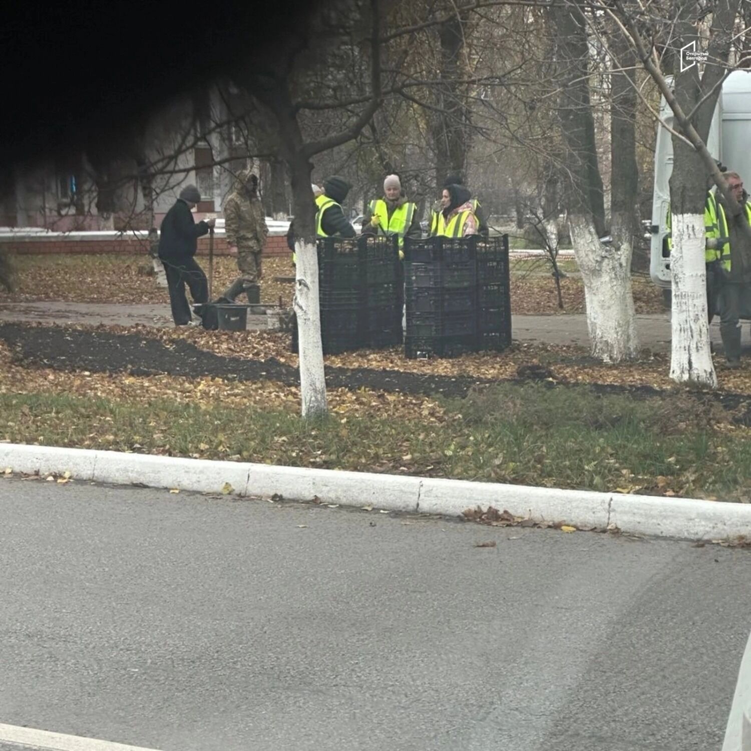 Рабочих заметили у&nbsp;клумб в&nbsp;Белгороде