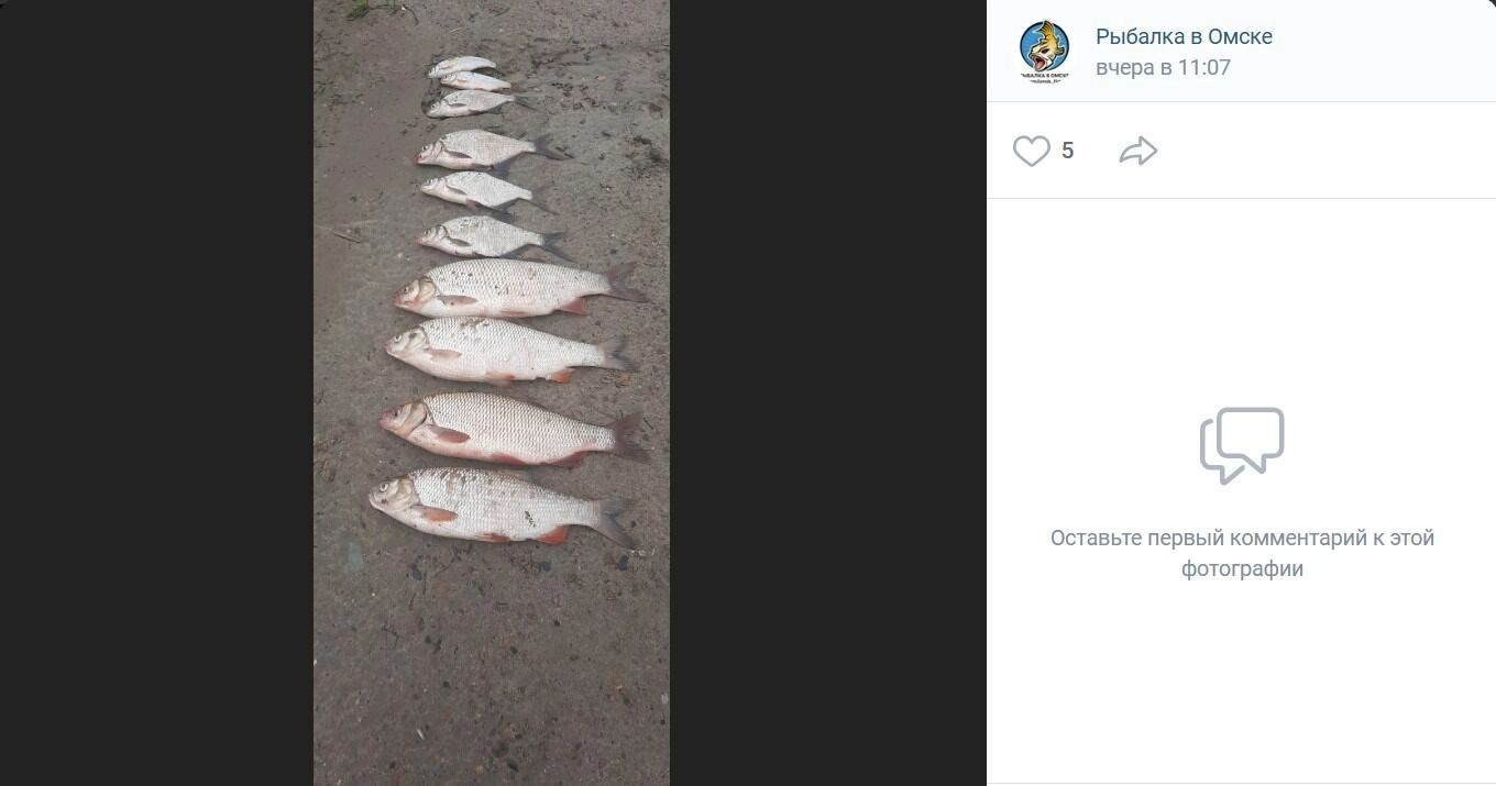 Улов в районе Николаевки в Омской области