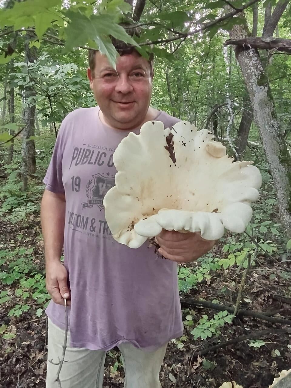 В Новосергиевском районе нашли гигантские грибы