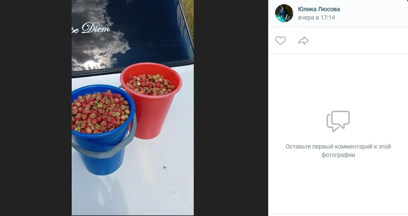 На сбор земляники можно отправиться и в Омский район