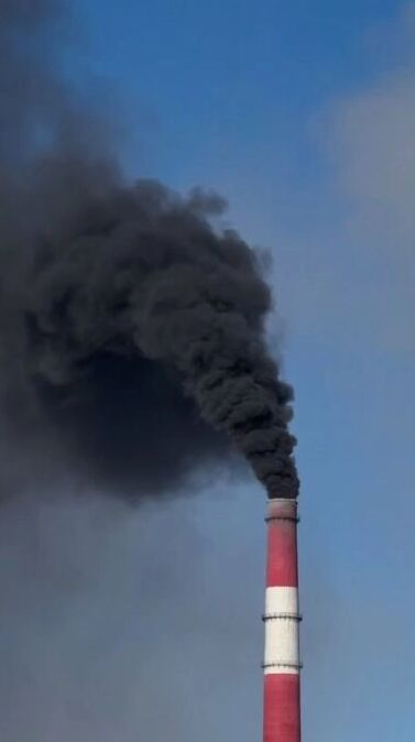 Скриншоты видеозаписи, опубликованной в&nbsp;блоге эколога Владимира Лифантьева