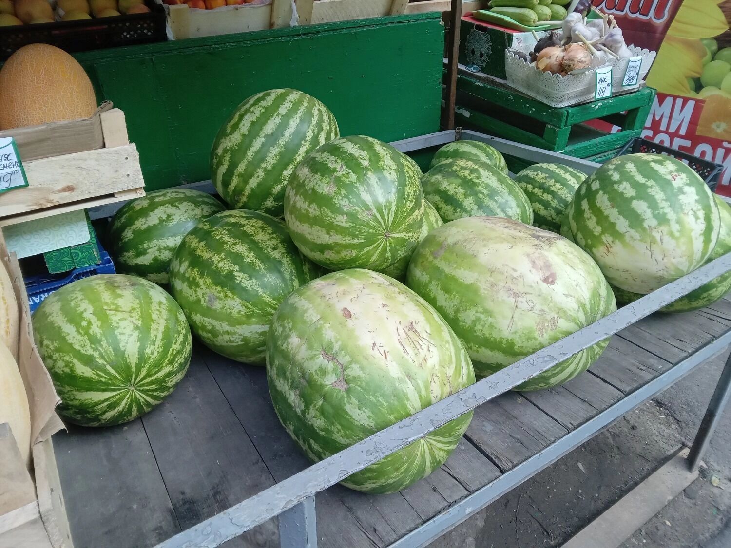 Спелый арбуз будет среднего размера