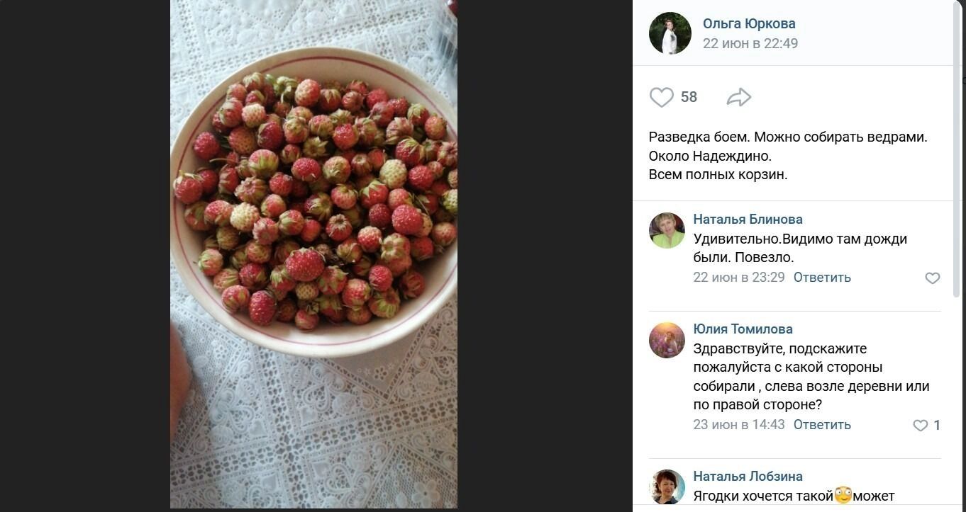 Ягоды в районе Надеждино