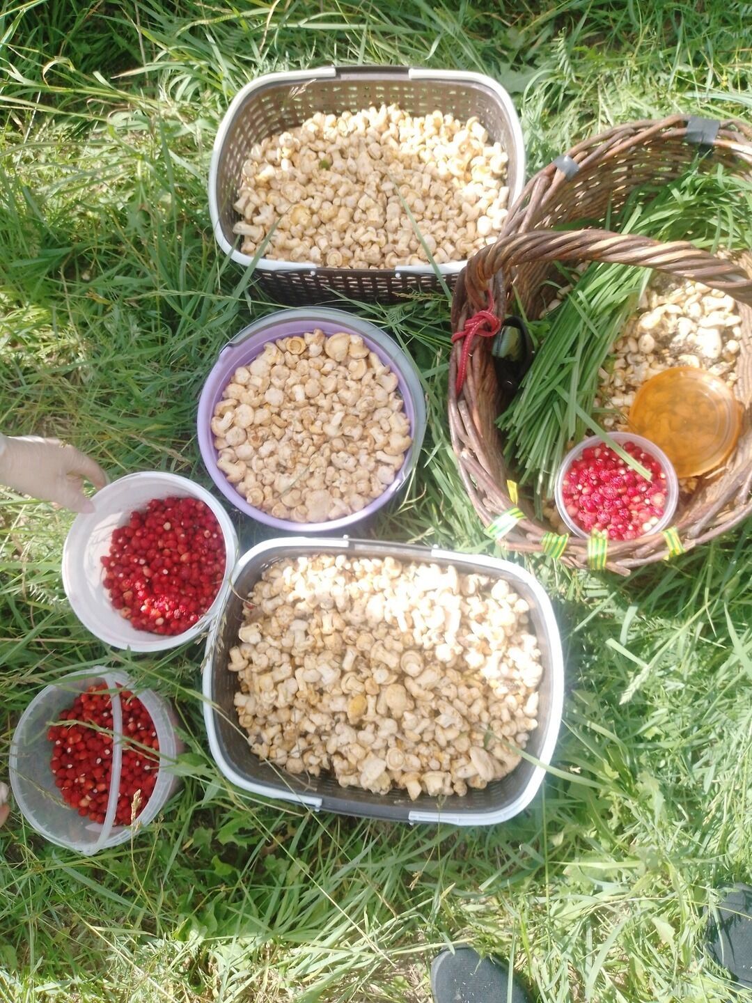 Тихая охота в&nbsp;Нижегородской области