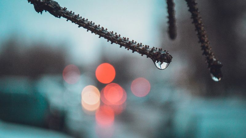 Солнца ждать не стоит: какая погода ждёт белгородцев в понедельник?