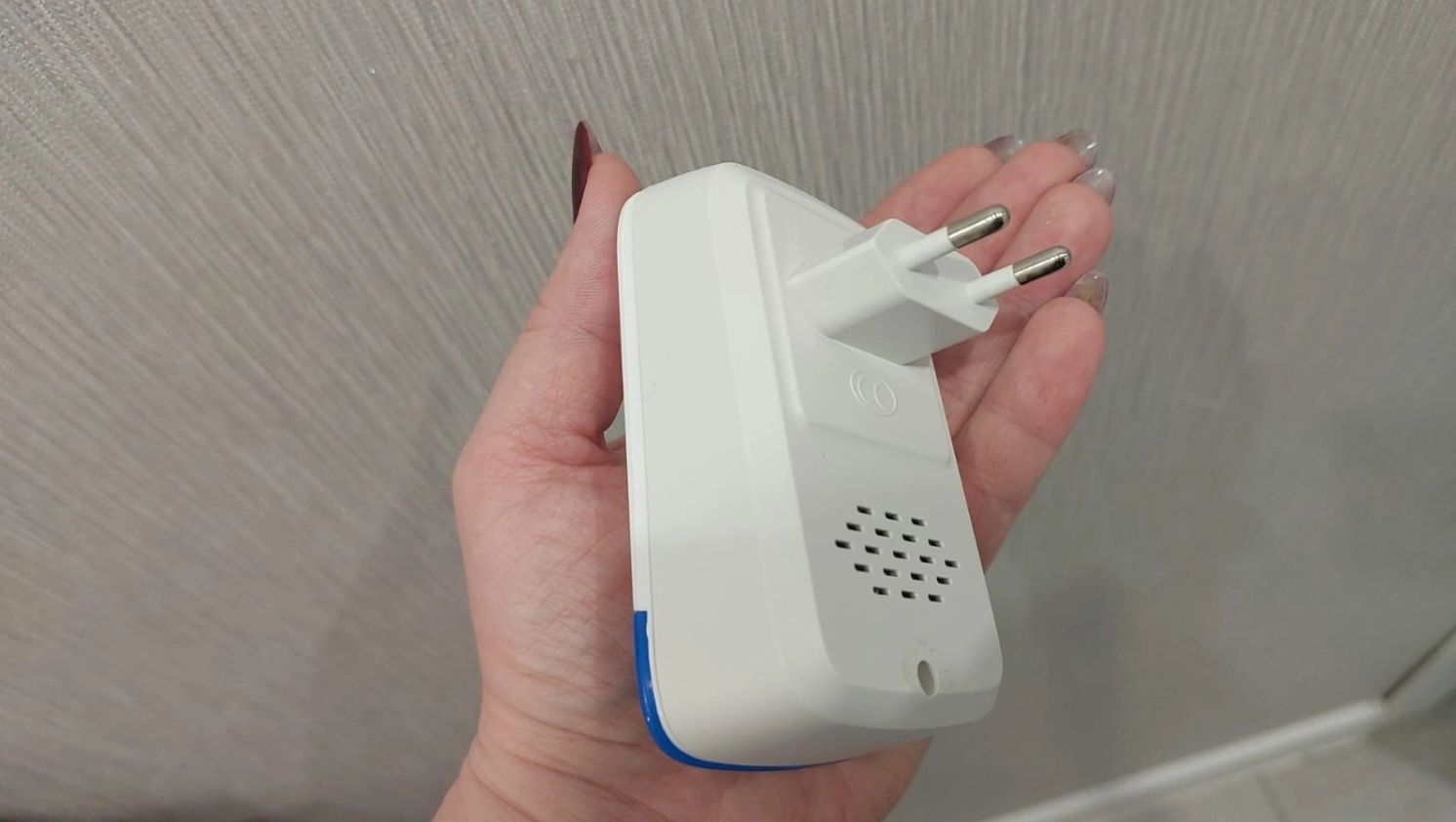 Укроп на подоконнике: выращивание из семян