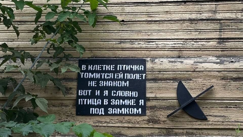 Лиричный стих и птица рядом в качестве иллюстрации во дворе на Алексеевской улице.