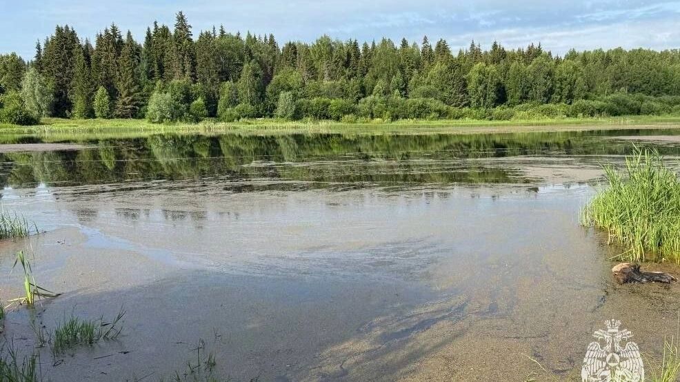 В Удмуртии утонул мужчина, который рыбачил со своим сыном. Идут поиски ребенка