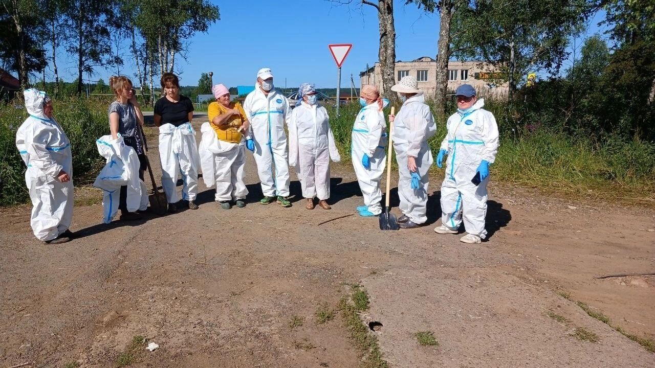 Деревню Якшур в Удмуртии очистили от павшей птицы