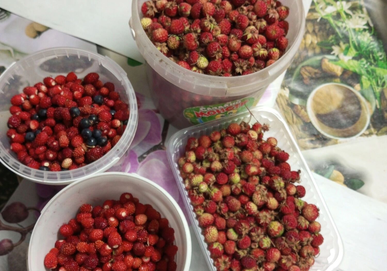 Ведерки с клубникой и черникой