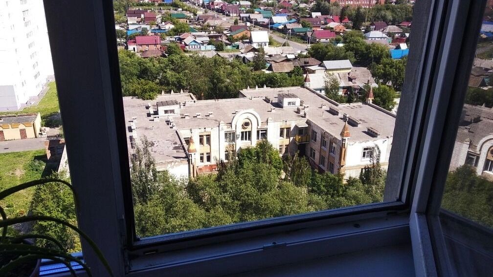 Эксперты раскрыли секрет идеальной очистки москитной сетки