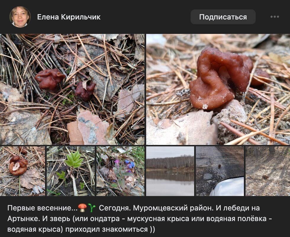 13 апреля в Муромцевском районе