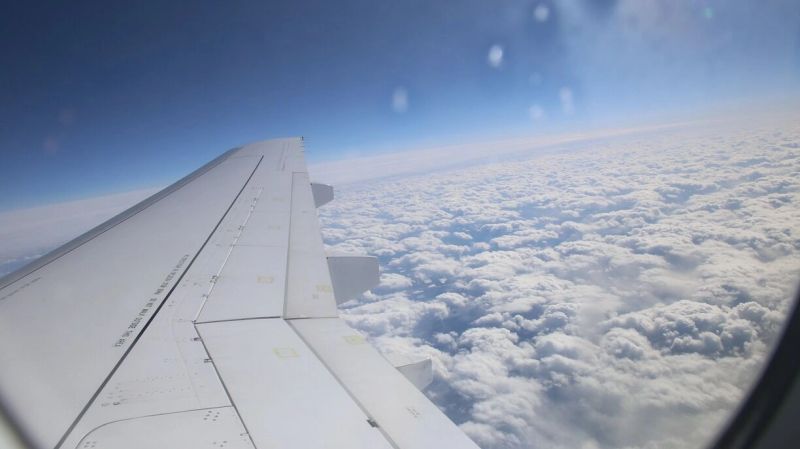 Из Красноярска в декабре запустят прямые рейсы в казахстанский Шымкент