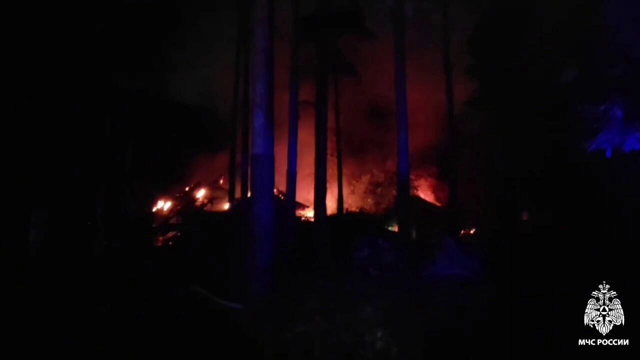 пожар в&nbsp;зоопарке