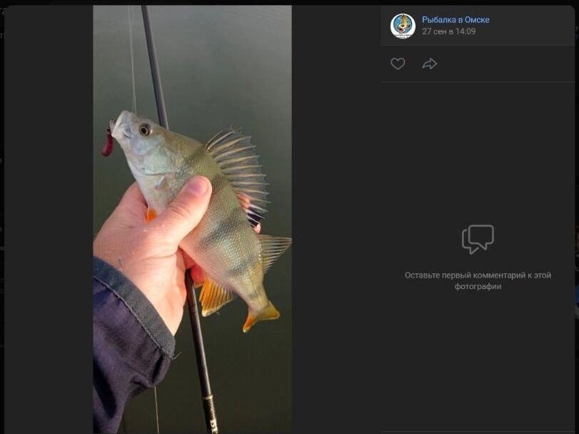 Скриншоты улова, добытого на омских затонах РЭБ, "Мясухе" и "Восьмерке" 