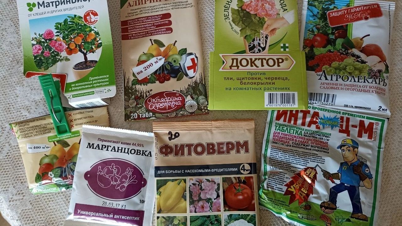 На фото: химикаты для сада