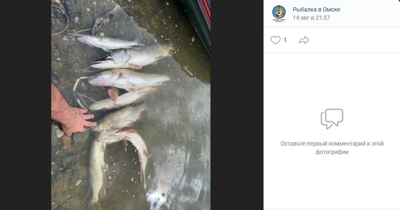 Приличный улов на Иртыше в Таре