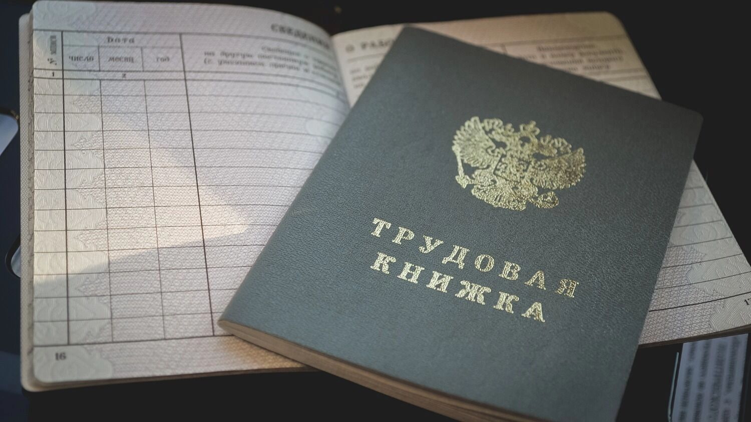 Почему инициатива возникла сейчас
