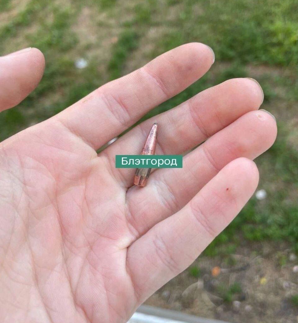 Пуля от&nbsp;автомата Калашникова, найденная белгородцами на&nbsp;земле