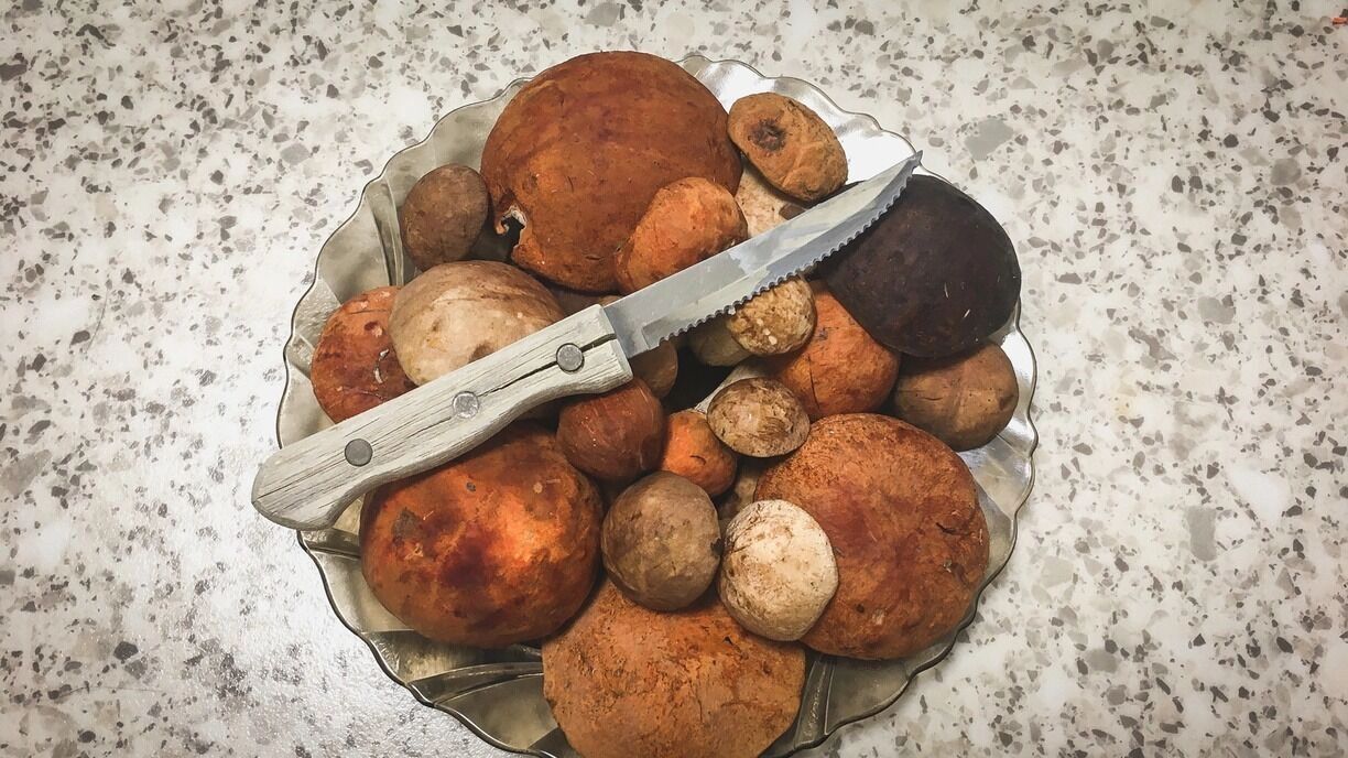 На фото: свежие грибы в тарелке