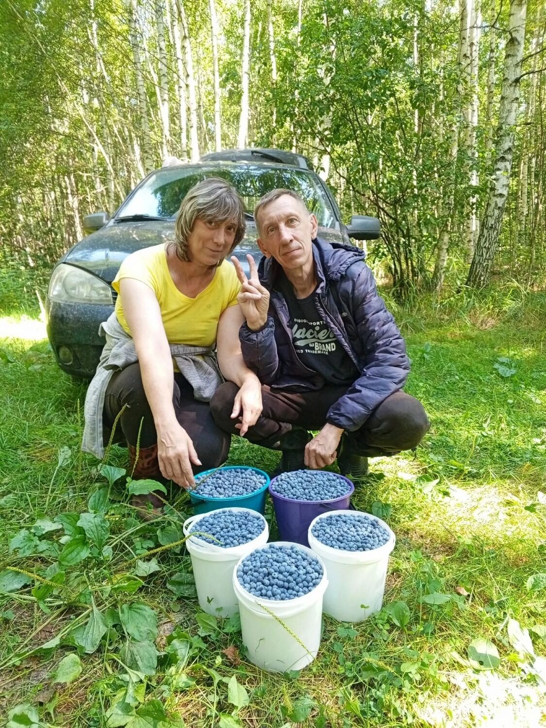 Где искать голубику в&nbsp;Нижегородской области