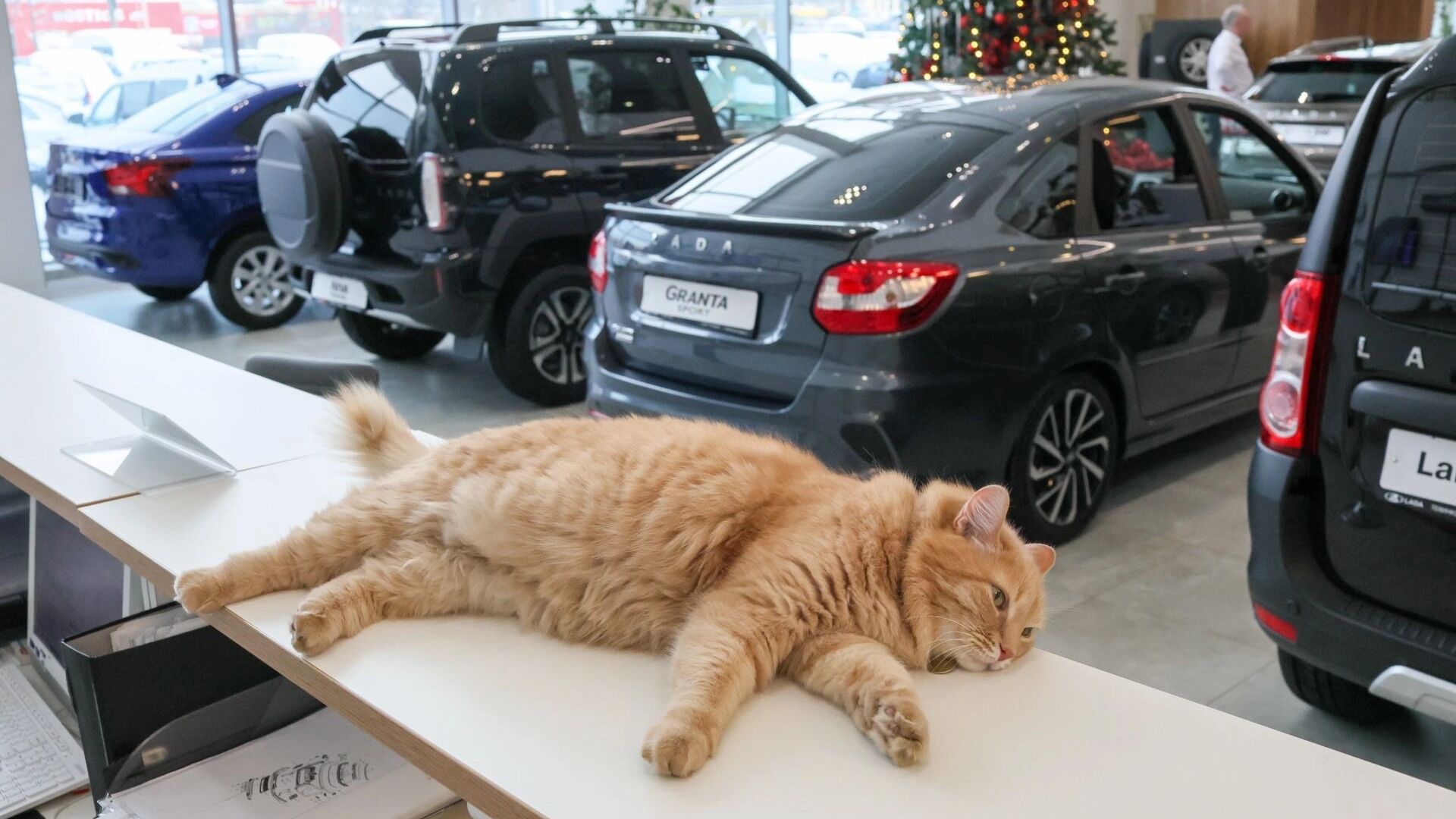 В АвтоВАЗе опять все уронили: завод побил антирекорд по продажам машин Lada Vesta