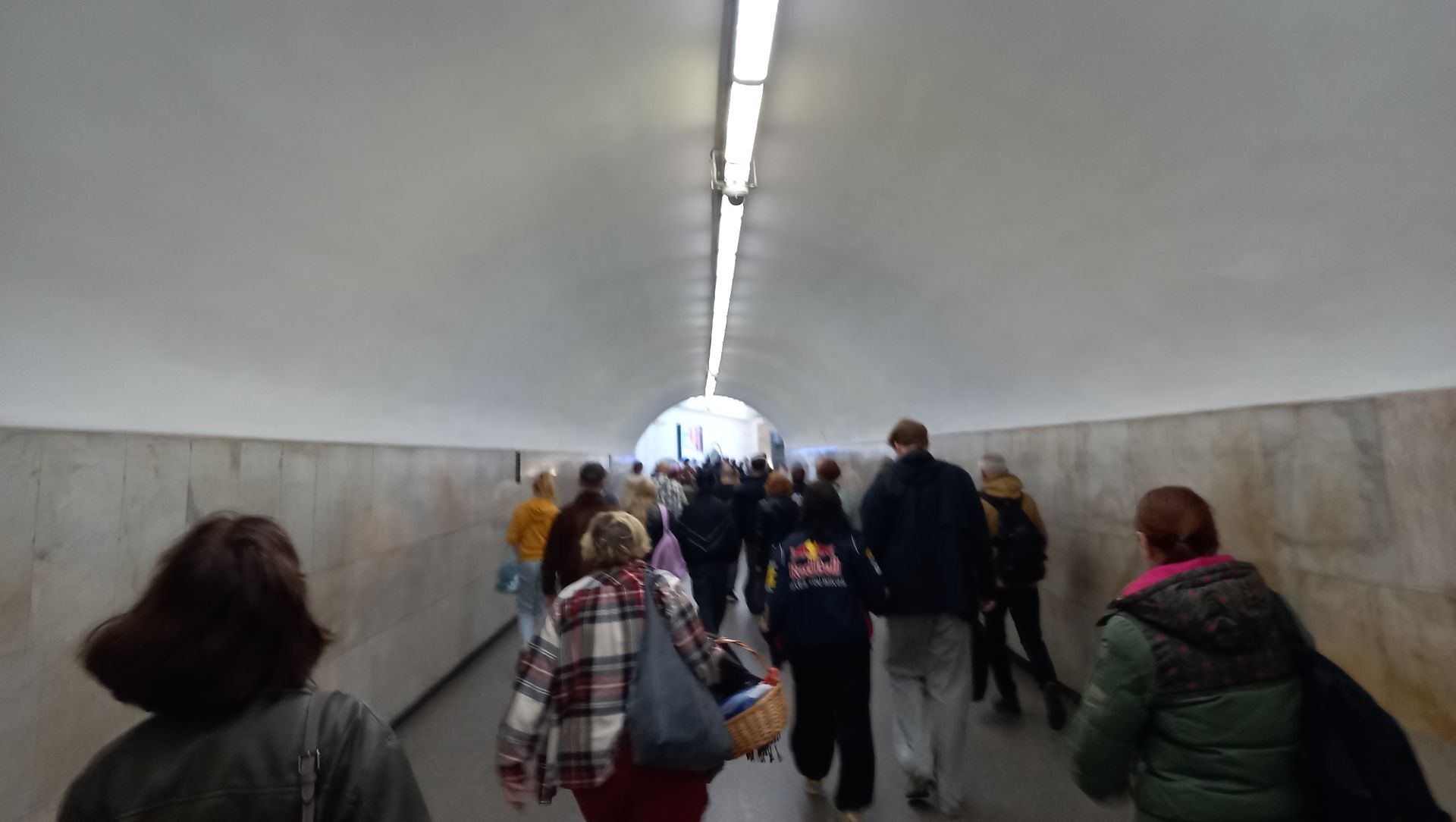 Нежелательные попутчики в метро Петербурга Нежелательные попутчики в метро Петербурга