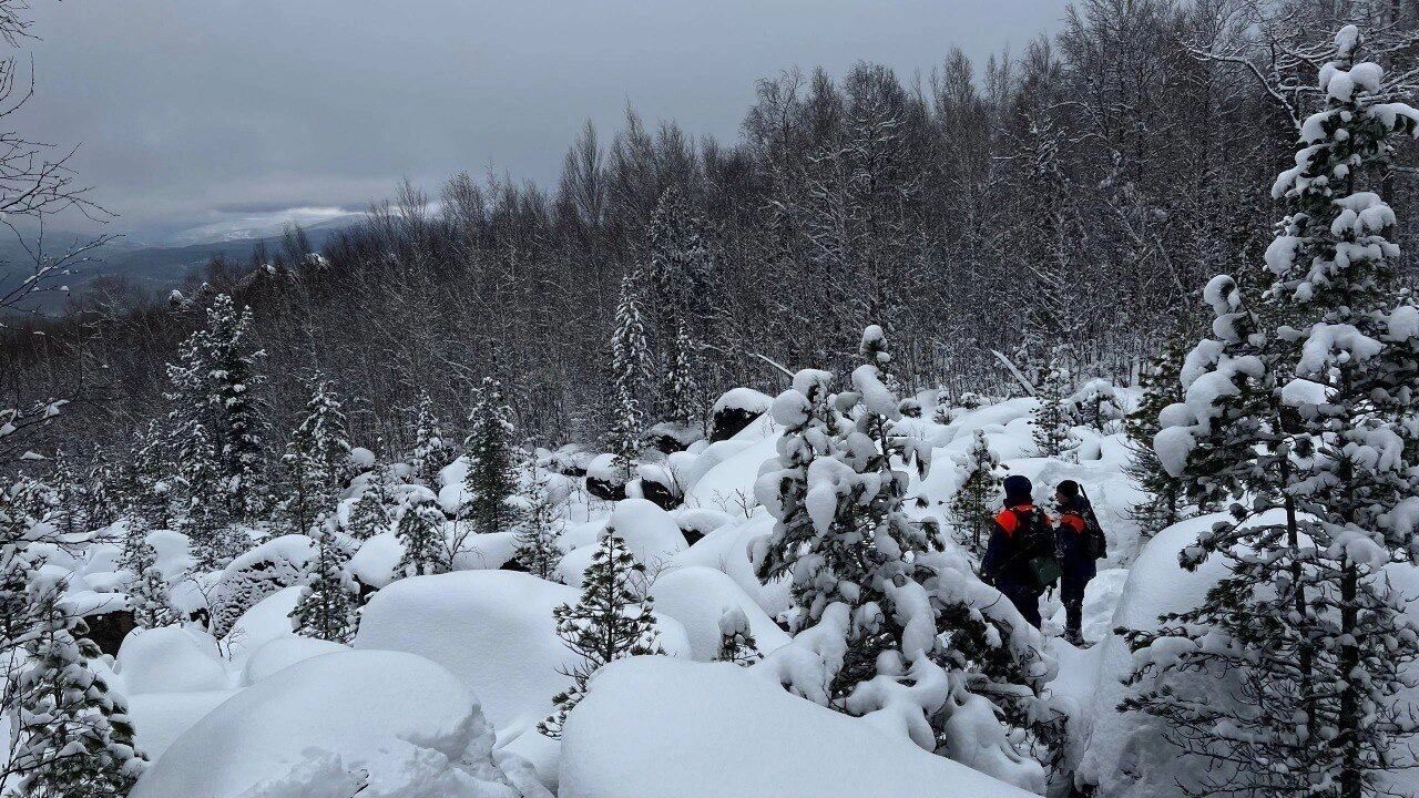 Krasnoyarsk ko‘chalarida yalang‘och qizlar sayr qilmoqda. Krasnoyarsk ko‘chalarida yalang‘och qizlar sayr qilmoqda.