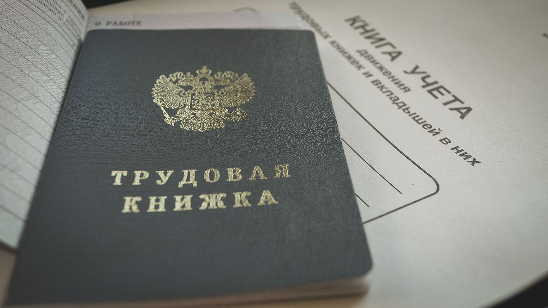 Конкуренция растет, условия некомфортные: что происходит на рынке труда в Петербурге?