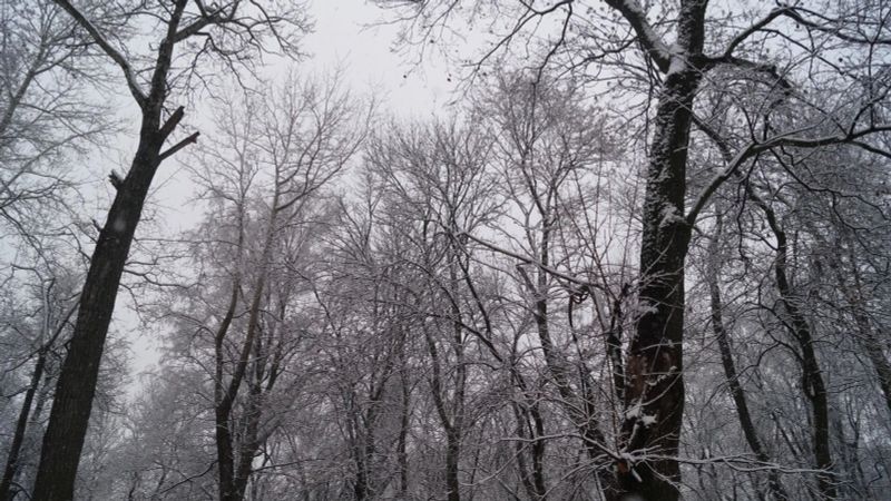 Морозы ворвутся резко: температура рухнет сразу на 16 градусов в Нижнем Новгороде