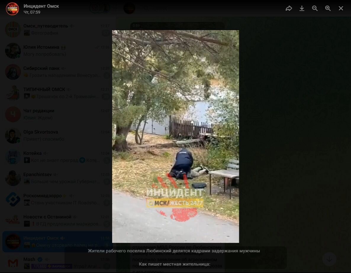 Полицейский жестко задержал преступника