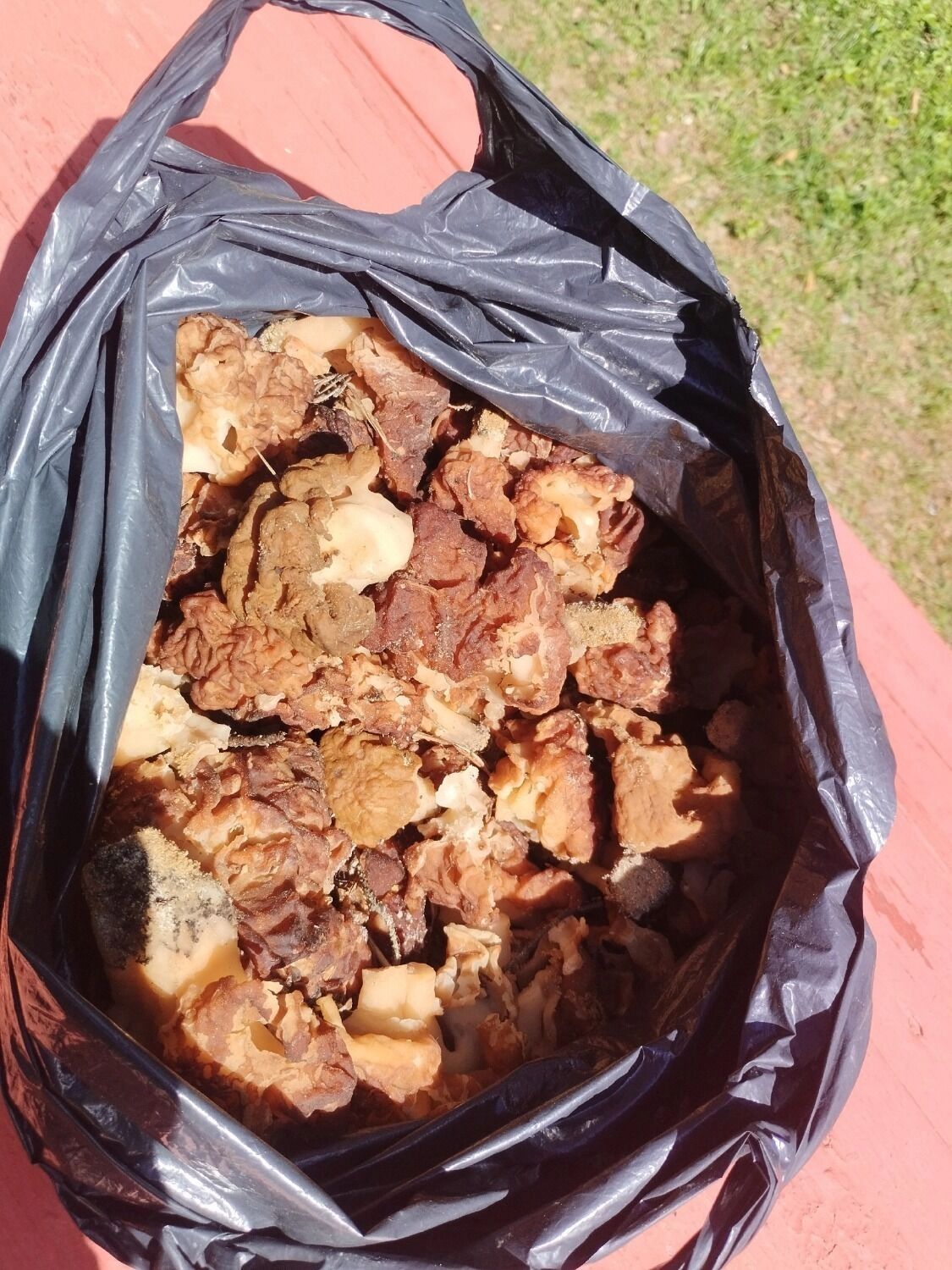 Строчки из Нижегородской области