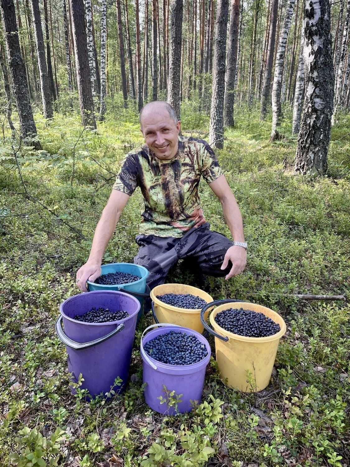 Черника в Нижегородской области