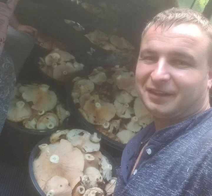 Нижегородец предлагает услуги грибного гида за 15 тысяч рублей