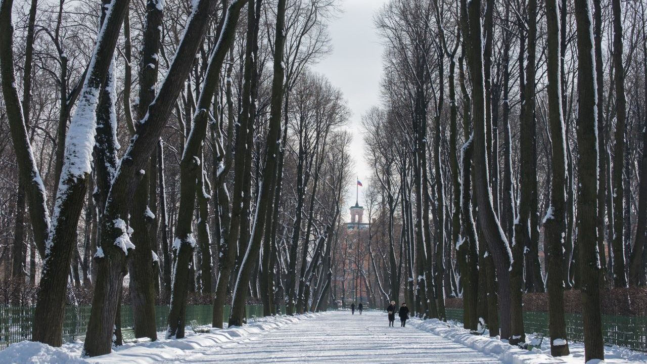 Летний сад Русского музея сократил часы работы