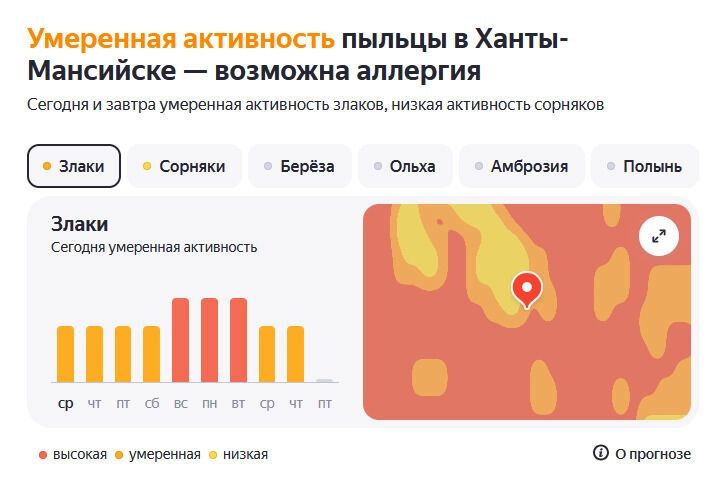 Наиболее активна пыльца сорняков и злаков