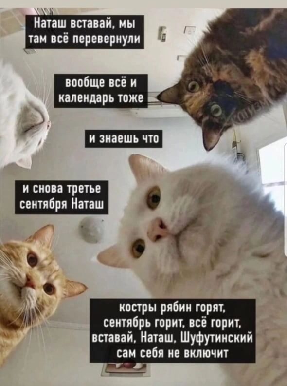 Мемы про 3 сентября