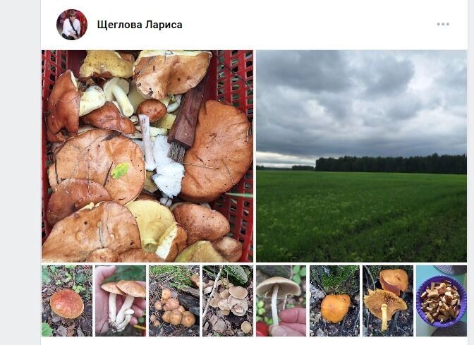 5&nbsp;литров качественных маслят