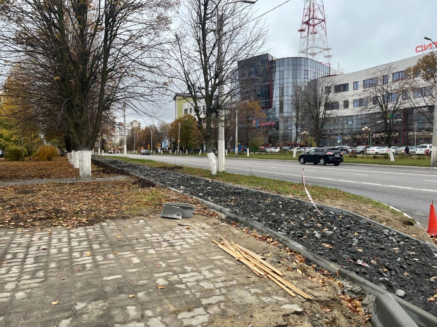 Будущая велодорожка на проспекте Ватутина