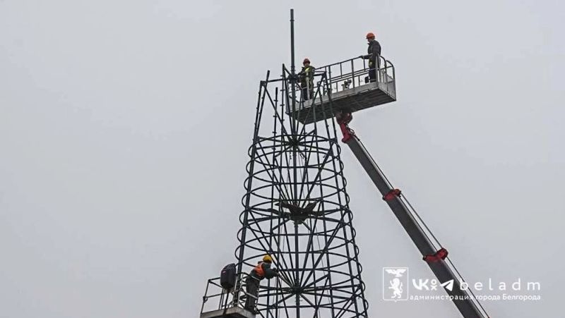 Каркас почти готов: в Белгороде продолжают монтаж главной новогодней ёлки
