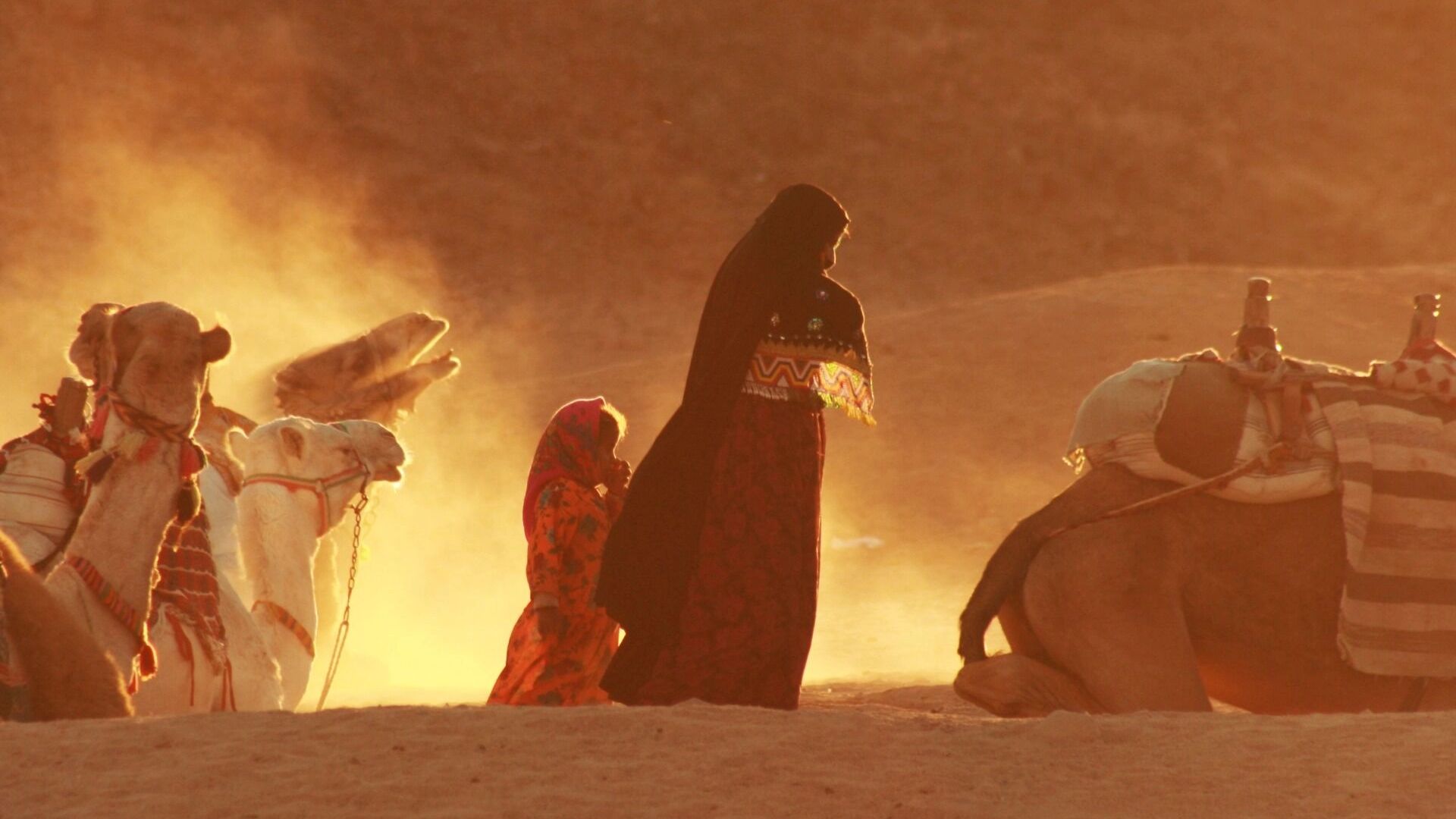 Египет в феврале отлично подходит для экскурсионного туризма