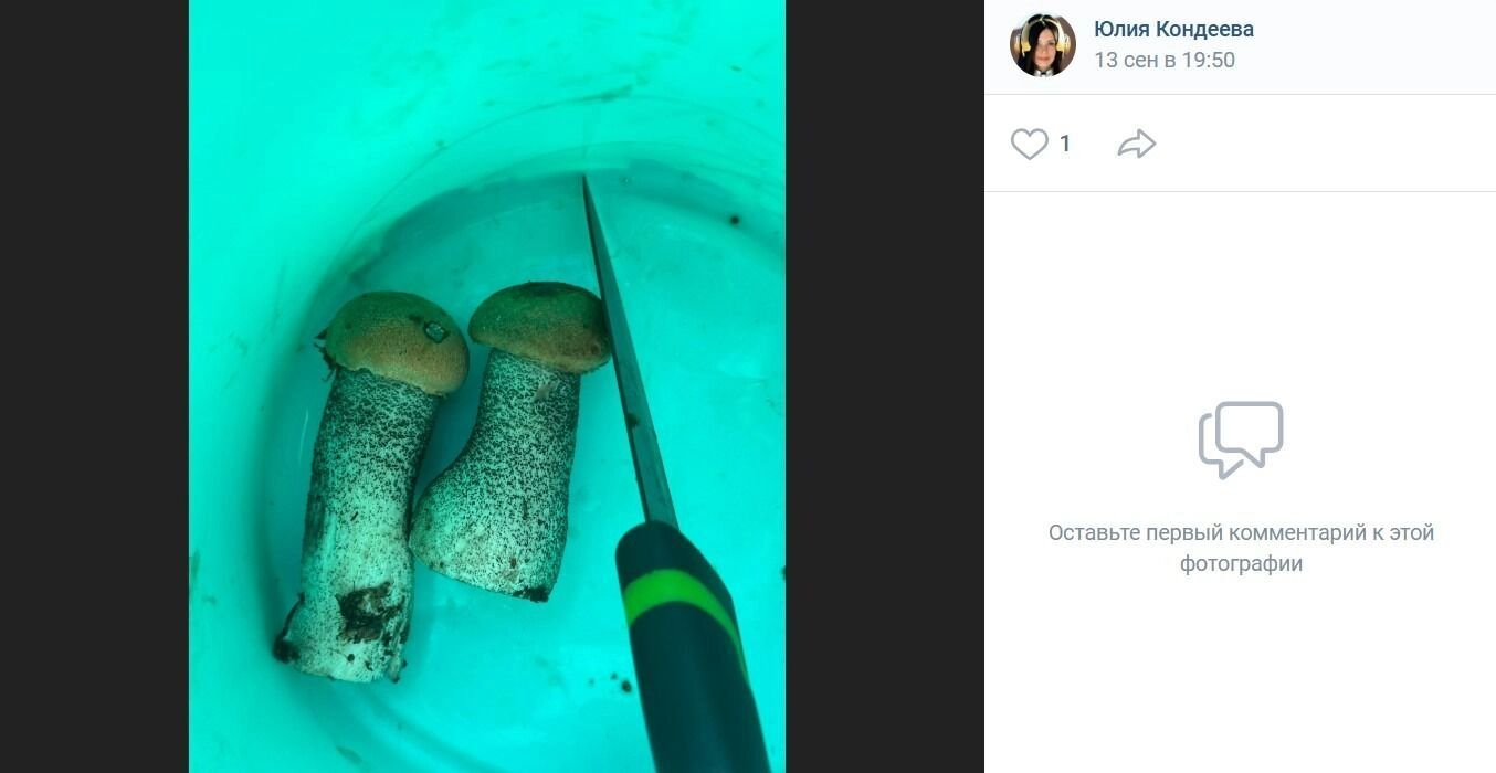 Грибные дары в Подгородке