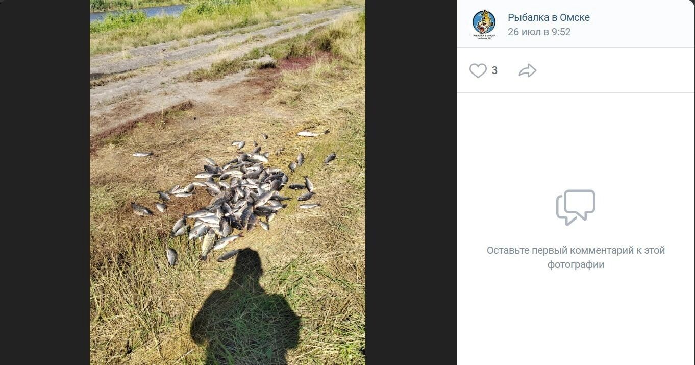 Некоторые омские рыбаки отправляются за уловом в соседний регион
