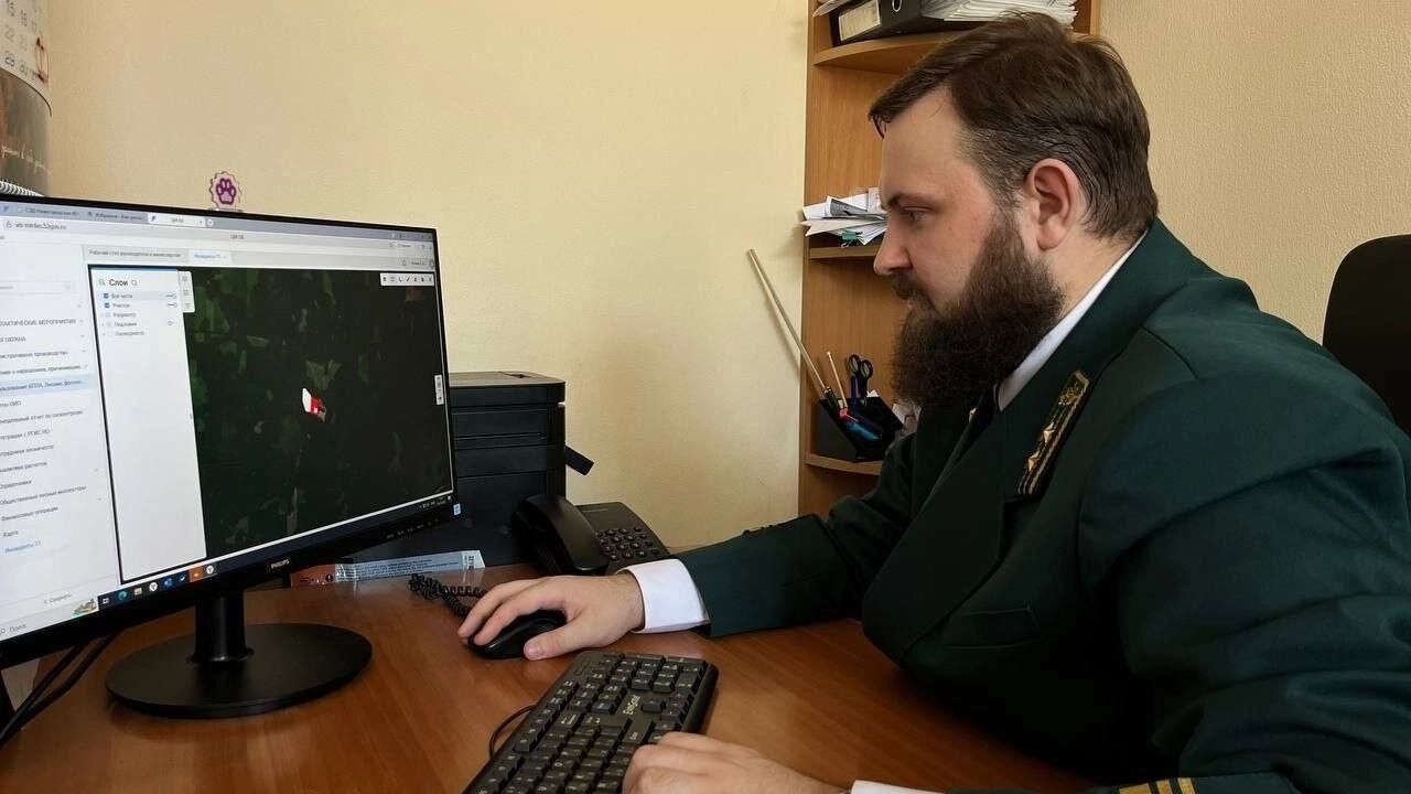 Сотрудник минлесхоза получает данные от искусственного интеллекта