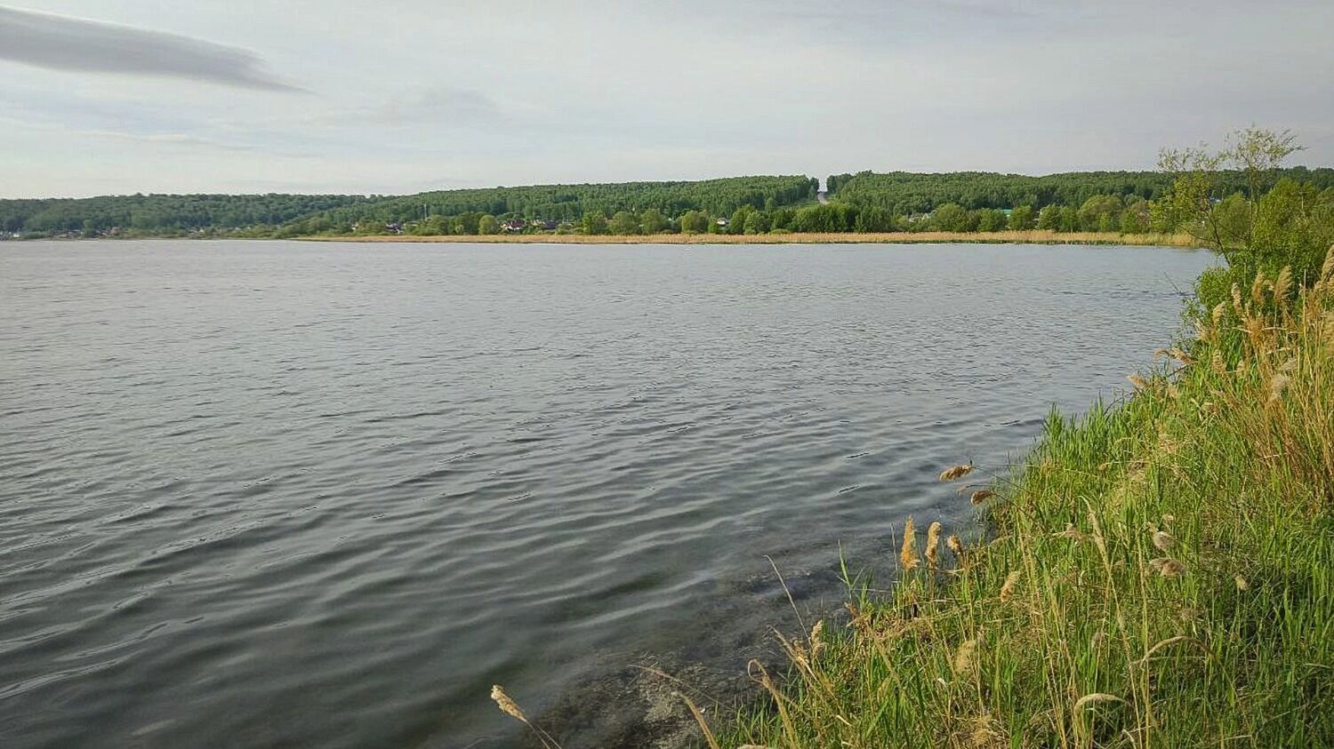 В&nbsp;2024&nbsp;году промысловый вылов щуки на&nbsp;нижней Волге достиг минимальных значений&nbsp;— около 3,8 тысячи тонн.