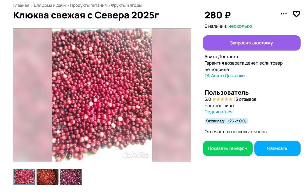 Клюкву в Омск везут из ХМАО — Югры