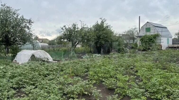 Дом добротный, да и сад хорош